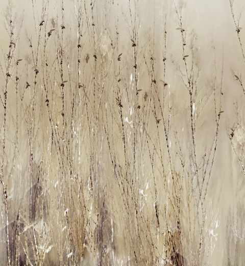 WET_LY2601