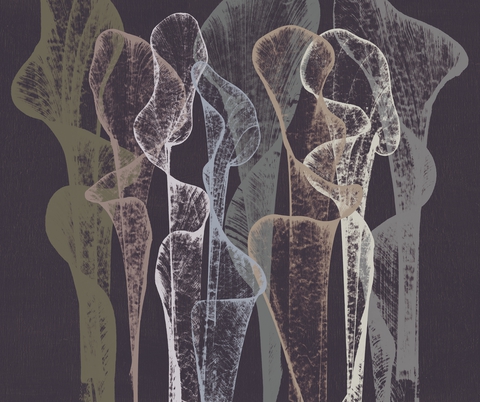 WDTR2102