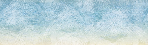 WDLO1601