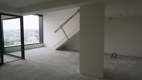 BRINGING ZURICH INSIDE