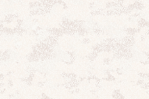 WET_CO2602