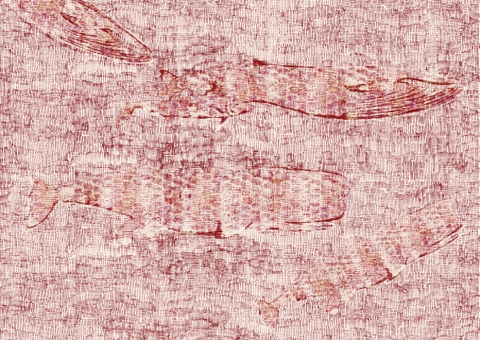 WDVM1602