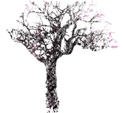 BBAUA0902