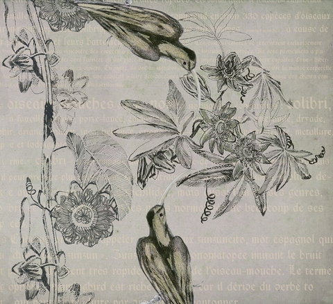 BBHA1202